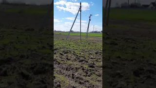 Посев люцерны с овсом самодельным Русом.