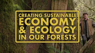 Creating Sustainable Economy & Ecology in our Forests