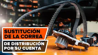 Cómo cambiar el kit correa distribución y bomba de agua en PEUGEOT 307 (3H) [TUTORIAL DE AUTODOC]