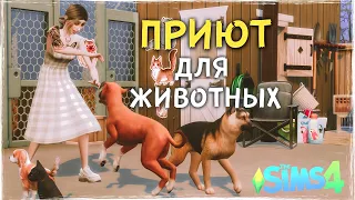 ПРИЮТ ДЛЯ ЖИВОТНЫХ - Cтроительство the Sims 4