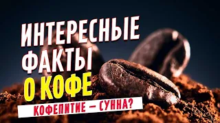 Интересные факты о кофе | Кофепитие — сунна?