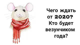 Чего Ждать от 2020 года? Каким Будет Год Белой Крысы? Точные Предсказания для Знаков Зодиака!