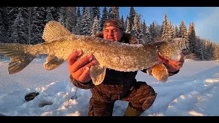 РЫБИНСКОЕ ВОДОХРАНИЛИЩЕ! РАЙ ДЛЯ РЫБАКА  ПОЛНАЯ ВЕРСИЯ!