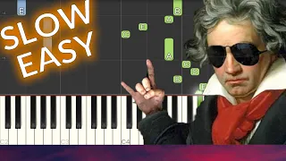 Beethoven - Für Elise SLOW EASY Piano Tutorial
