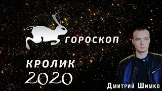 Гороскоп Кот/Кролик -2020. Астротиполог, Нумеролог - Дмитрий Шимко