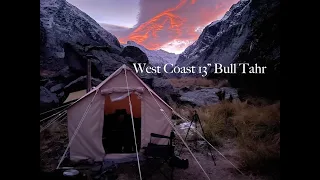 West Coast 13" Bull Tahr