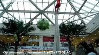 Воздушная гимнастка на полотнах (уникальный номер)