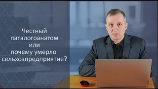 Как выжить крестьянскому хозяйству в 2024 году?