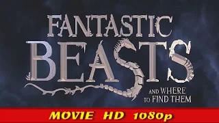 LEGO Fantastic Beasts And Where To Find Them Movie All Cutscenes