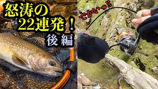 【後編】雪代増水後の山奥に入ってみると・・・　尺岩魚　岩魚２２連発　渓流ルアー