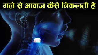 गले से आवाज़ कैसे निकलती हैं - how vocal cord works in hindi