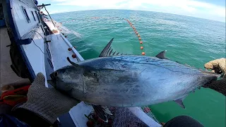 Lagi menikmati makanan tiba² ikan ini naik kepermukaan ya gelabakan jadinya