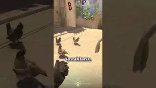 CS GO’da Tavuk Pişirebildiğimizi Biliyor Muydun?