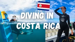 DIVING 🤿  IN COSTA RICA 🌴  | Isla del Caño Dive Tour  | Sharks 🦈