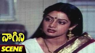 Sridevi Emotional Scene || Naagini Telugu Movie || Rishi Kapoor, Sri Devi