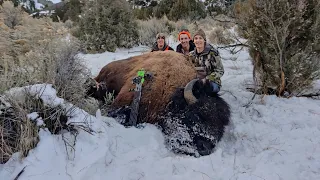 Archery Bison Hunt 2022