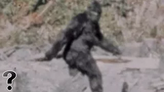 Is The Big Foot Real?