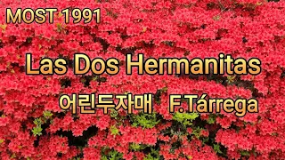 Las Dos Hermanitas 어린두자매 F.Tárrega 클래식기타연주