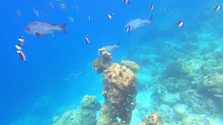 Maldives, snorkeling, Filitheyo 04.12.2021