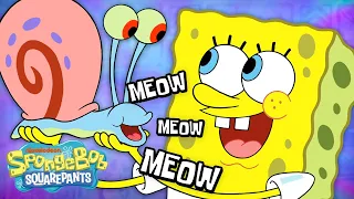 EVERY Gary Meow Ever! 🐌 | SpongeBob