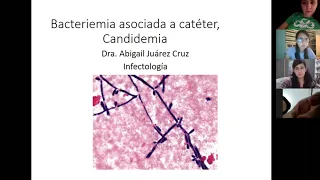 BACTERIEMIA ASOCIADA A CATÉTER, CANDIDEMIA