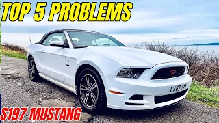 2005 - 2014 S197 Mustang 5th generation Top 5 buying tips - buyers guide