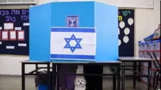 Israeli Election Bared Ethnic Tensions Among Jews