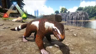 Приручил Пурловию - Ark Survival Evolved #31