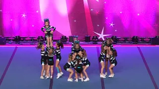 Cheer Sport Megamouth Sharks   Mini 2