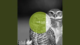 Shaman (Original Mix)