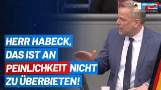 Herr Habeck, das ist an Peinlichkeit kaum zu überbieten! - Leif-Erik Holm - AfD-Fraktion