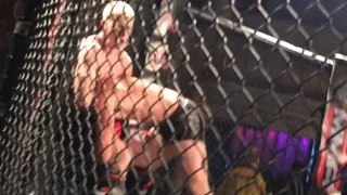 My First MMA Fight (CEO of Testosterone)