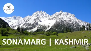 KASHMIR | SONAMARG | Zojila Pass | Zero Point | Thajiwas Glacier