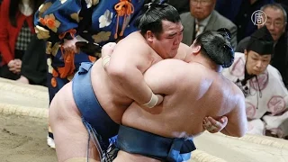 Япония: в чемпионате по сумо впервые за 10 лет победил японец (новости)