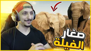 انيمليا سيرفايفل #6 | نهاية زمرة الأسود وبداية تكوين قطيع الفيلة Animalia Survival