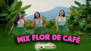 MIX FLOR DEL CAFÉ - CUERDAS DEL ALMA (VIDEO OFICIAL)