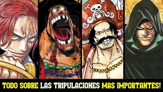 Las TRIPULACIONES de PIRATAS más IMPORTANTES de ONE PIECE! | TODOS sus MISTERIOS Y SECRETOS