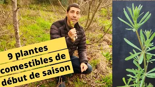 🍀🌸😋9 PLANTES SAUVAGES COMESTIBLES DE DEBUT DE SAISON🍀🌸😋