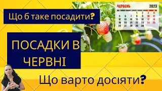 Що можна посадити в червні?