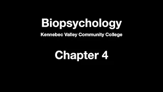 Biopsychology - Chapter 4