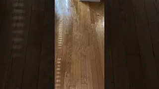 Removing wax off of laminate floors