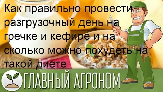 Как правильно провести разгрузочный день на гречке и кефире и на сколько можно похудеть на такой д.