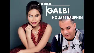 SHERINE X HOUARI DOUPHIN - GALBI قلبي ( remix ) شيرين