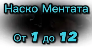 Nasko Mentata - Ot 1 do 12 / Наско Ментата - От 1 до 12 - Абитуриенти - 2023