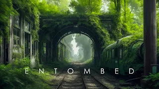 Entombed - Reclaimed by Nature | Ethereal Meditative Ambient Music | Deep Relaxation and Meditation