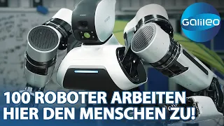 Gruselig oder cool? Ein Roboter als Bürokollege | Galileo | ProSieben