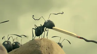 حرب تحدث بين النمل الاحمر والنمل الاسود بسبب الاختلاف على قطعة اكل | Minuscule The lost Ants