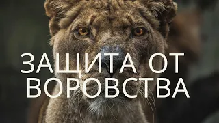 ШЕПОТОК ОТ ВОРОВСТВА | ЗАГОВОР ОТ ВОРОВСТВА | ЗАЩИТА ОТ ВОРОВСТВА В МАГАЗИНЕ И В ДОМЕ |