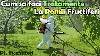 Cum să faci Tratamente la Pomii Fructiferi - pentru Începători