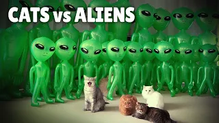 Alien Invasion Prank! Cats vs Aliens | Kittisaurus